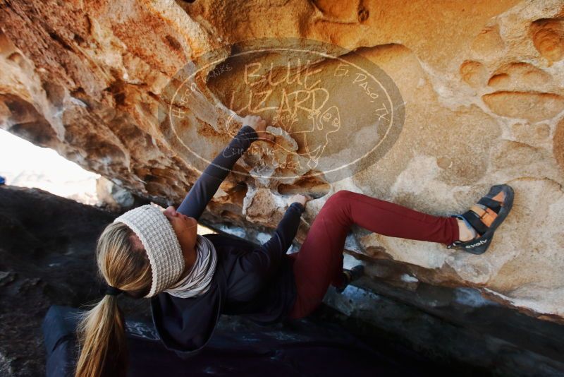 Bouldering in Hueco Tanks on 01/12/2019 with Blue Lizard Climbing and Yoga
Filename: SRM_20190112_1205560.jpg
Aperture: f/6.3
Shutter Speed: 1/250
Body: Canon EOS-1D Mark II
Lens: Canon EF 16-35mm f/2.8 L
