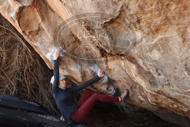 Bouldering in Hueco Tanks on 01/12/2019 with Blue Lizard Climbing and Yoga
Filename: SRM_20190112_1252130.jpg
Aperture: f/4.0
Shutter Speed: 1/250
Body: Canon EOS-1D Mark II
Lens: Canon EF 50mm f/1.8 II