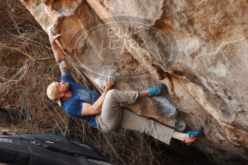 Bouldering in Hueco Tanks on 01/12/2019 with Blue Lizard Climbing and Yoga
Filename: SRM_20190112_1300450.jpg
Aperture: f/3.5
Shutter Speed: 1/320
Body: Canon EOS-1D Mark II
Lens: Canon EF 50mm f/1.8 II