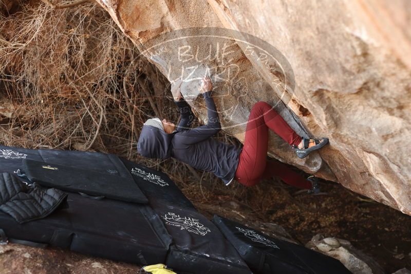 Bouldering in Hueco Tanks on 01/12/2019 with Blue Lizard Climbing and Yoga
Filename: SRM_20190112_1306300.jpg
Aperture: f/3.2
Shutter Speed: 1/320
Body: Canon EOS-1D Mark II
Lens: Canon EF 50mm f/1.8 II