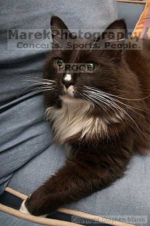 

Filename: crw_6463_std.jpg
Aperture: f/6.3
Shutter Speed: 1/200
Body: Canon EOS DIGITAL REBEL
Lens: Canon EF-S 18-55mm f/3.5-5.6