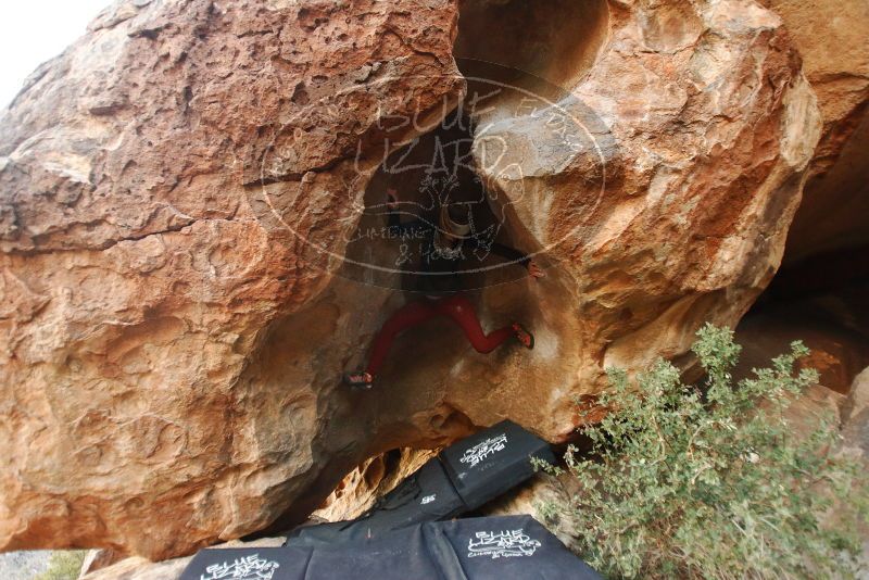 Bouldering in Hueco Tanks on 01/12/2019 with Blue Lizard Climbing and Yoga

Filename: SRM_20190112_1808260.jpg
Aperture: f/2.8
Shutter Speed: 1/125
Body: Canon EOS-1D Mark II
Lens: Canon EF 16-35mm f/2.8 L
