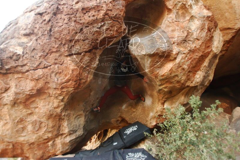Bouldering in Hueco Tanks on 01/12/2019 with Blue Lizard Climbing and Yoga
Filename: SRM_20190112_1808280.jpg
Aperture: f/2.8
Shutter Speed: 1/125
Body: Canon EOS-1D Mark II
Lens: Canon EF 16-35mm f/2.8 L