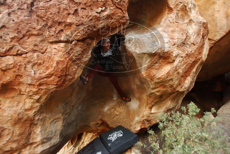 Bouldering in Hueco Tanks on 01/12/2019 with Blue Lizard Climbing and Yoga
Filename: SRM_20190112_1808580.jpg
Aperture: f/2.8
Shutter Speed: 1/125
Body: Canon EOS-1D Mark II
Lens: Canon EF 16-35mm f/2.8 L