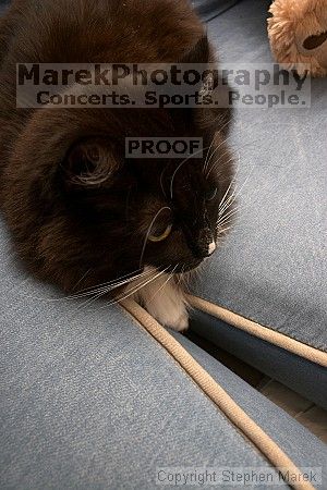 

Filename: crw_6466_std.jpg
Aperture: f/6.3
Shutter Speed: 1/200
Body: Canon EOS DIGITAL REBEL
Lens: Canon EF-S 18-55mm f/3.5-5.6