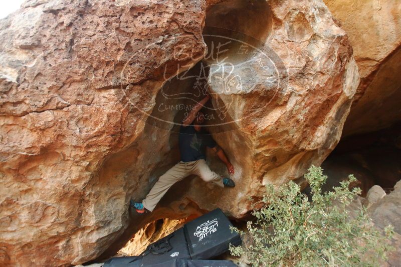 Bouldering in Hueco Tanks on 01/12/2019 with Blue Lizard Climbing and Yoga
Filename: SRM_20190112_1817100.jpg
Aperture: f/2.8
Shutter Speed: 1/80
Body: Canon EOS-1D Mark II
Lens: Canon EF 16-35mm f/2.8 L