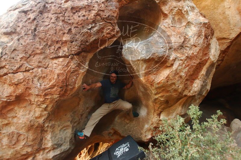 Bouldering in Hueco Tanks on 01/12/2019 with Blue Lizard Climbing and Yoga
Filename: SRM_20190112_1817590.jpg
Aperture: f/2.8
Shutter Speed: 1/80
Body: Canon EOS-1D Mark II
Lens: Canon EF 16-35mm f/2.8 L