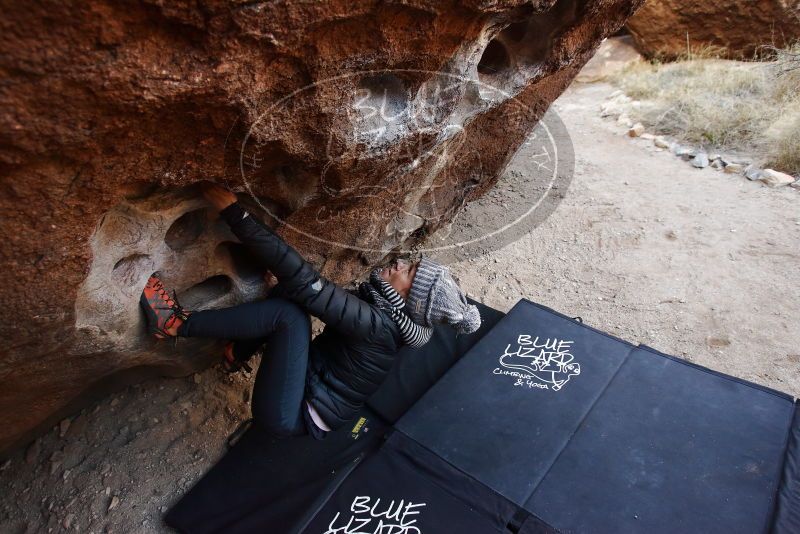 Bouldering in Hueco Tanks on 01/13/2019 with Blue Lizard Climbing and Yoga
Filename: SRM_20190113_1042330.jpg
Aperture: f/4.0
Shutter Speed: 1/250
Body: Canon EOS-1D Mark II
Lens: Canon EF 16-35mm f/2.8 L