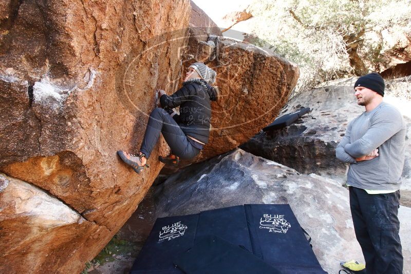 Bouldering in Hueco Tanks on 01/13/2019 with Blue Lizard Climbing and Yoga
Filename: SRM_20190113_1112000.jpg
Aperture: f/5.6
Shutter Speed: 1/125
Body: Canon EOS-1D Mark II
Lens: Canon EF 16-35mm f/2.8 L