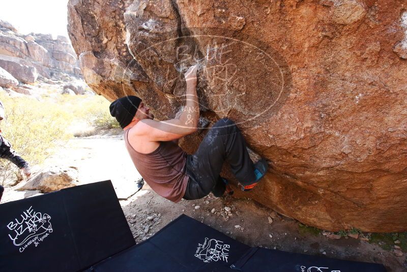 Bouldering in Hueco Tanks on 01/13/2019 with Blue Lizard Climbing and Yoga
Filename: SRM_20190113_1153440.jpg
Aperture: f/5.0
Shutter Speed: 1/400
Body: Canon EOS-1D Mark II
Lens: Canon EF 16-35mm f/2.8 L