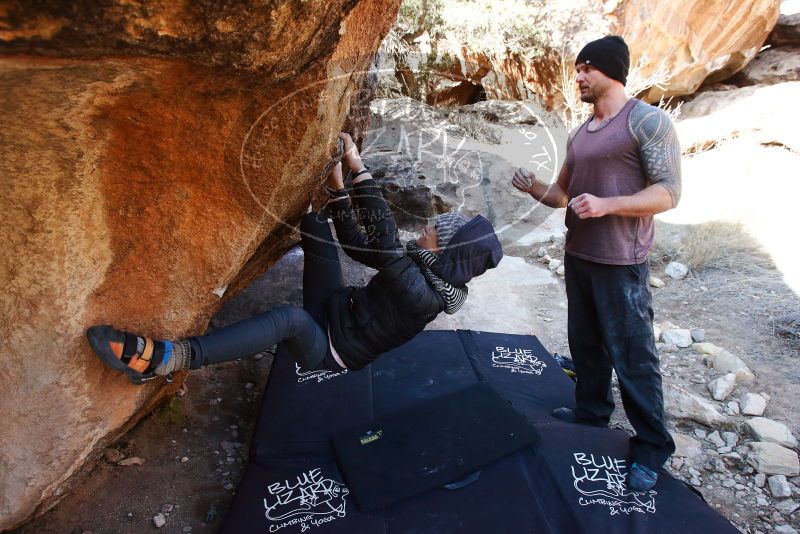 Bouldering in Hueco Tanks on 01/13/2019 with Blue Lizard Climbing and Yoga
Filename: SRM_20190113_1204290.jpg
Aperture: f/5.6
Shutter Speed: 1/320
Body: Canon EOS-1D Mark II
Lens: Canon EF 16-35mm f/2.8 L