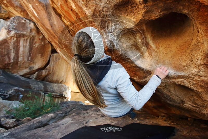 Bouldering in Hueco Tanks on 01/13/2019 with Blue Lizard Climbing and Yoga
Filename: SRM_20190113_1447250.jpg
Aperture: f/5.0
Shutter Speed: 1/250
Body: Canon EOS-1D Mark II
Lens: Canon EF 16-35mm f/2.8 L
