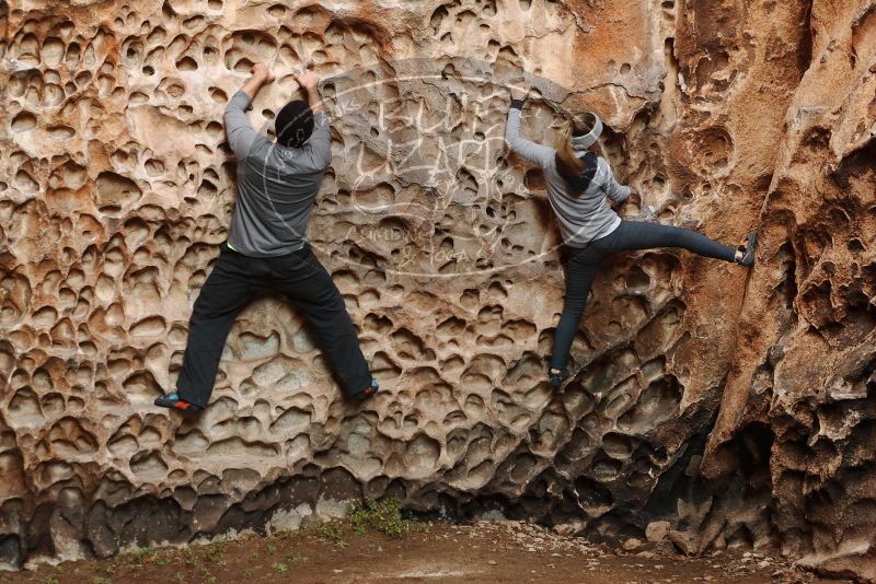 Bouldering in Hueco Tanks on 01/13/2019 with Blue Lizard Climbing and Yoga
Filename: SRM_20190113_1620240.jpg
Aperture: f/4.0
Shutter Speed: 1/60
Body: Canon EOS-1D Mark II
Lens: Canon EF 50mm f/1.8 II