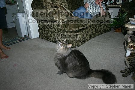 

Filename: img_7919_std.jpg
Aperture: f/4.5
Shutter Speed: 1/125
Body: Canon EOS DIGITAL REBEL
Lens: Canon EF-S 18-55mm f/3.5-5.6