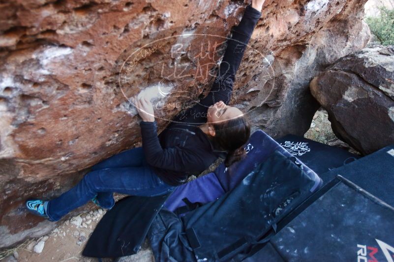 Bouldering in Hueco Tanks on 01/14/2019 with Blue Lizard Climbing and Yoga
Filename: SRM_20190114_1044270.jpg
Aperture: f/2.8
Shutter Speed: 1/200
Body: Canon EOS-1D Mark II
Lens: Canon EF 16-35mm f/2.8 L