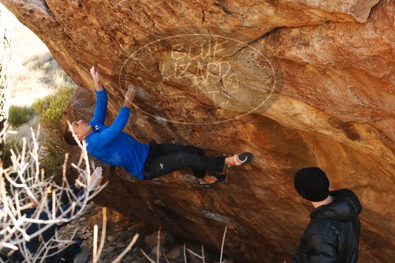 Bouldering in Hueco Tanks on 01/14/2019 with Blue Lizard Climbing and Yoga
Filename: SRM_20190114_1123030.jpg
Aperture: f/4.0
Shutter Speed: 1/250
Body: Canon EOS-1D Mark II
Lens: Canon EF 50mm f/1.8 II