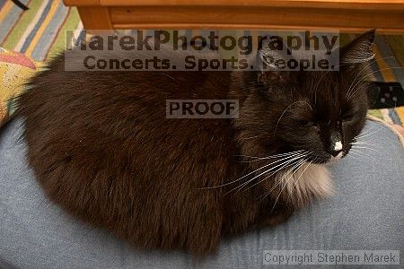 

Filename: crw_6456_std.jpg
Aperture: f/7.1
Shutter Speed: 1/200
Body: Canon EOS DIGITAL REBEL
Lens: Canon EF-S 18-55mm f/3.5-5.6