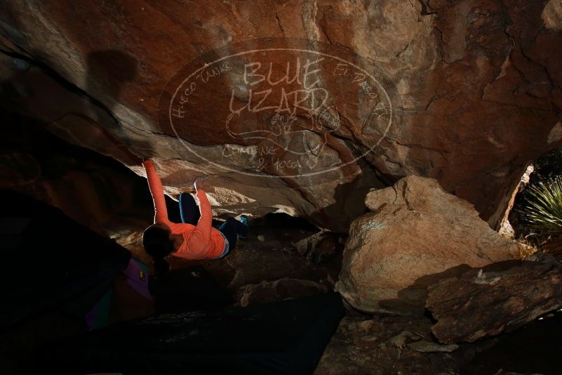 Bouldering in Hueco Tanks on 01/14/2019 with Blue Lizard Climbing and Yoga

Filename: SRM_20190114_1257260.jpg
Aperture: f/8.0
Shutter Speed: 1/250
Body: Canon EOS-1D Mark II
Lens: Canon EF 16-35mm f/2.8 L