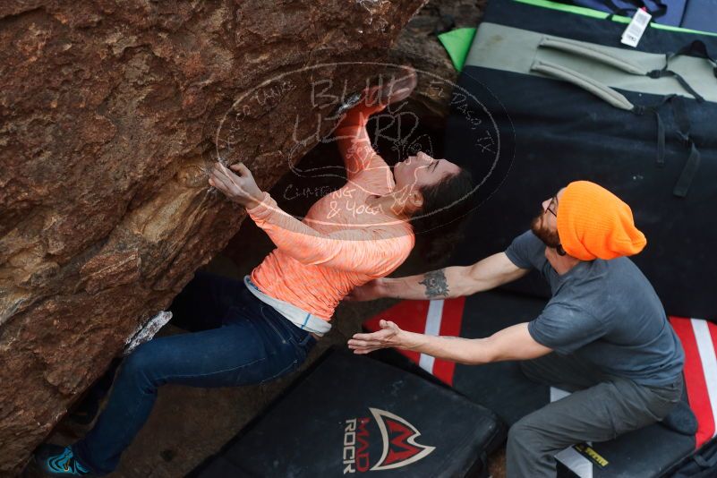 Bouldering in Hueco Tanks on 01/14/2019 with Blue Lizard Climbing and Yoga
Filename: SRM_20190114_1710110.jpg
Aperture: f/4.0
Shutter Speed: 1/250
Body: Canon EOS-1D Mark II
Lens: Canon EF 50mm f/1.8 II