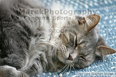 

Filename: img_7871_std.jpg
Aperture: f/2.8
Shutter Speed: 1/200
Body: Canon EOS DIGITAL REBEL
Lens: Canon EF 80-200mm f/2.8 L