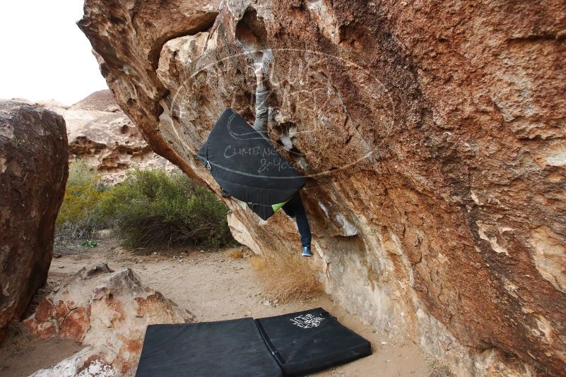 Bouldering in Hueco Tanks on 01/14/2019 with Blue Lizard Climbing and Yoga

Filename: SRM_20190114_1739060.jpg
Aperture: f/5.0
Shutter Speed: 1/200
Body: Canon EOS-1D Mark II
Lens: Canon EF 16-35mm f/2.8 L