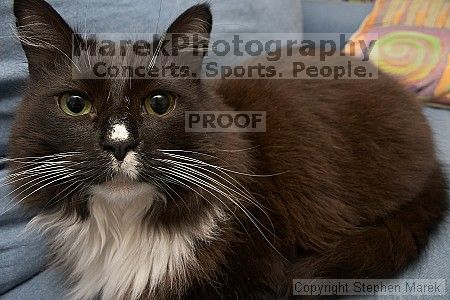 

Filename: crw_6461_std.jpg
Aperture: f/6.3
Shutter Speed: 1/200
Body: Canon EOS DIGITAL REBEL
Lens: Canon EF-S 18-55mm f/3.5-5.6