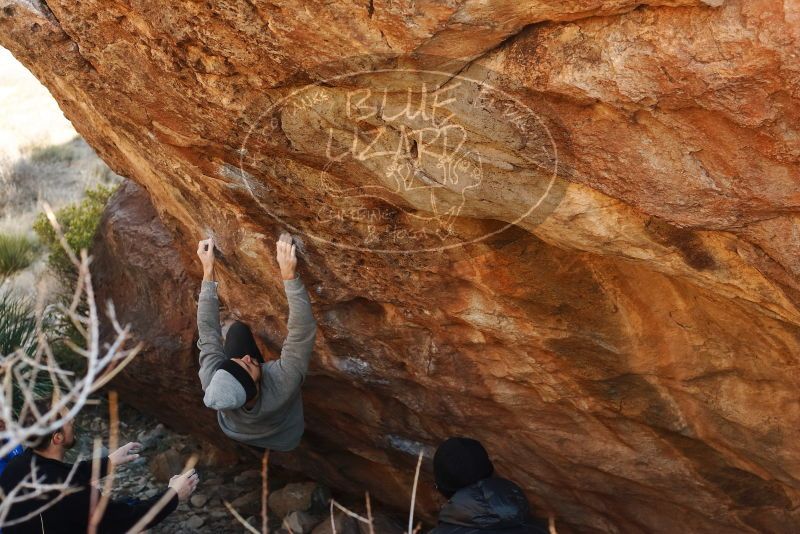 Bouldering in Hueco Tanks on 01/14/2019 with Blue Lizard Climbing and Yoga
Filename: SRM_20190114_1101190.jpg
Aperture: f/4.0
Shutter Speed: 1/250
Body: Canon EOS-1D Mark II
Lens: Canon EF 50mm f/1.8 II