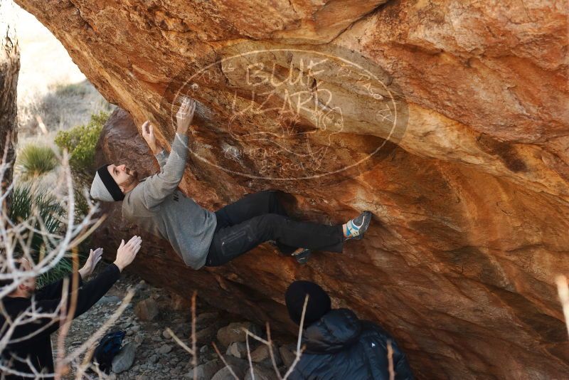 Bouldering in Hueco Tanks on 01/14/2019 with Blue Lizard Climbing and Yoga

Filename: SRM_20190114_1101330.jpg
Aperture: f/4.0
Shutter Speed: 1/250
Body: Canon EOS-1D Mark II
Lens: Canon EF 50mm f/1.8 II