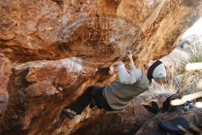 Bouldering in Hueco Tanks on 01/14/2019 with Blue Lizard Climbing and Yoga
Filename: SRM_20190114_1110350.jpg
Aperture: f/2.8
Shutter Speed: 1/250
Body: Canon EOS-1D Mark II
Lens: Canon EF 50mm f/1.8 II