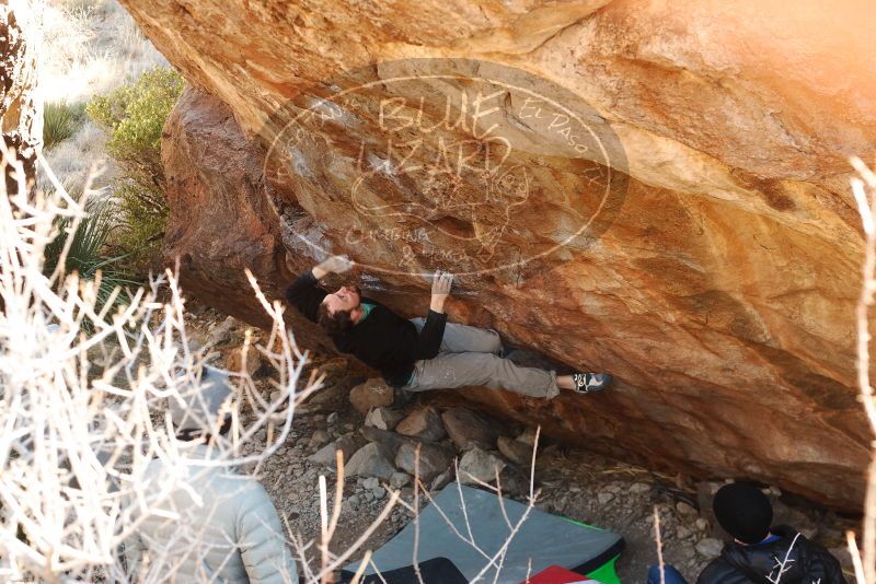 Bouldering in Hueco Tanks on 01/14/2019 with Blue Lizard Climbing and Yoga
Filename: SRM_20190114_1118210.jpg
Aperture: f/4.0
Shutter Speed: 1/250
Body: Canon EOS-1D Mark II
Lens: Canon EF 50mm f/1.8 II