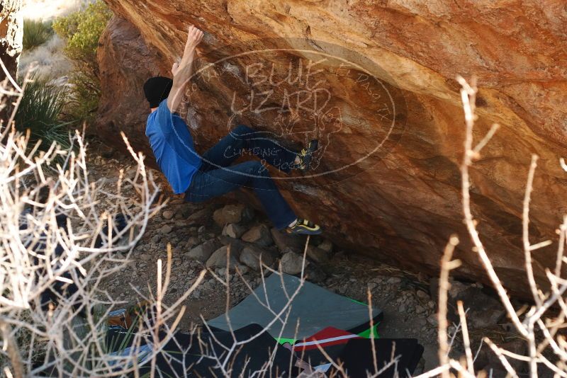 Bouldering in Hueco Tanks on 01/14/2019 with Blue Lizard Climbing and Yoga
Filename: SRM_20190114_1120140.jpg
Aperture: f/4.0
Shutter Speed: 1/250
Body: Canon EOS-1D Mark II
Lens: Canon EF 50mm f/1.8 II