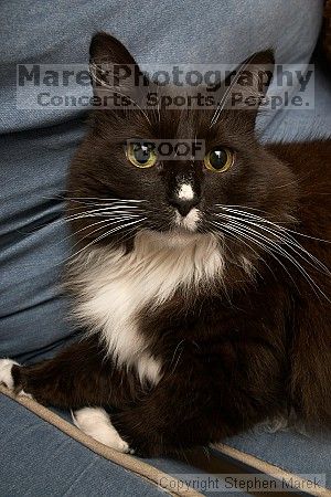 

Filename: crw_6465_std.jpg
Aperture: f/6.3
Shutter Speed: 1/200
Body: Canon EOS DIGITAL REBEL
Lens: Canon EF-S 18-55mm f/3.5-5.6