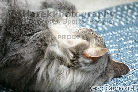 

Filename: img_7870_std.jpg
Aperture: f/2.8
Shutter Speed: 1/200
Body: Canon EOS DIGITAL REBEL
Lens: Canon EF 80-200mm f/2.8 L