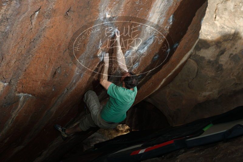 Bouldering in Hueco Tanks on 01/14/2019 with Blue Lizard Climbing and Yoga

Filename: SRM_20190114_1527310.jpg
Aperture: f/4.0
Shutter Speed: 1/250
Body: Canon EOS-1D Mark II
Lens: Canon EF 50mm f/1.8 II