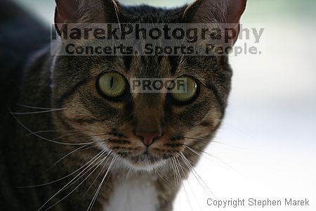 

Filename: img_7896_std.jpg
Aperture: f/2.8
Shutter Speed: 1/250
Body: Canon EOS DIGITAL REBEL
Lens: Canon EF 80-200mm f/2.8 L