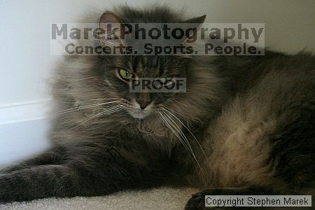 

Filename: img_7856_std.jpg
Aperture: f/2.8
Shutter Speed: 1/200
Body: Canon EOS DIGITAL REBEL
Lens: Canon EF 80-200mm f/2.8 L