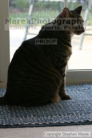 

Filename: img_7898_std.jpg
Aperture: f/4.0
Shutter Speed: 1/200
Body: Canon EOS DIGITAL REBEL
Lens: Canon EF 80-200mm f/2.8 L