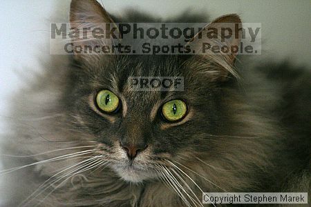 

Filename: img_7855_std.jpg
Aperture: f/2.8
Shutter Speed: 1/200
Body: Canon EOS DIGITAL REBEL
Lens: Canon EF 80-200mm f/2.8 L