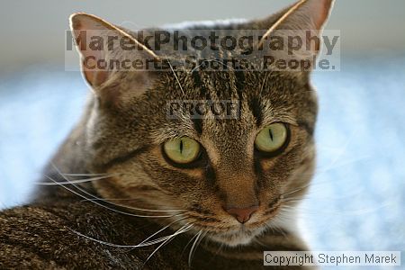 

Filename: img_7853_std.jpg
Aperture: f/2.8
Shutter Speed: 1/200
Body: Canon EOS DIGITAL REBEL
Lens: Canon EF 80-200mm f/2.8 L