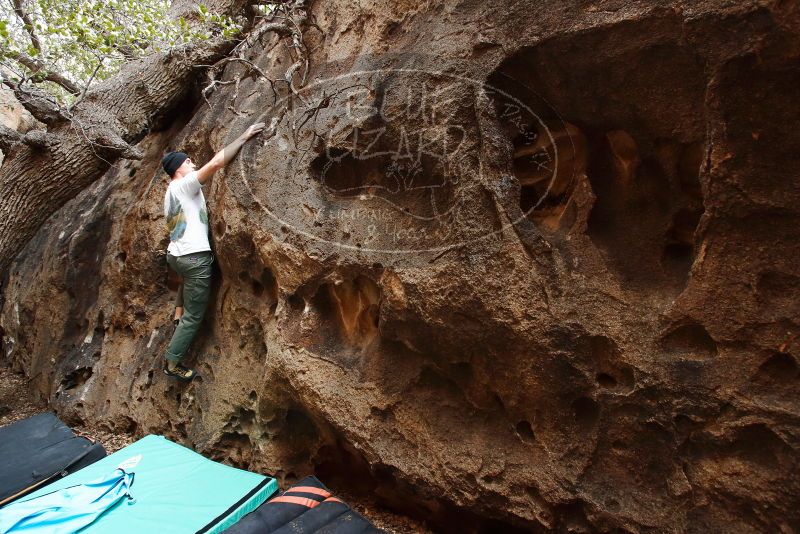 Bouldering in Hueco Tanks on 01/18/2019 with Blue Lizard Climbing and Yoga
Filename: SRM_20190118_1222180.jpg
Aperture: f/5.0
Shutter Speed: 1/100
Body: Canon EOS-1D Mark II
Lens: Canon EF 16-35mm f/2.8 L