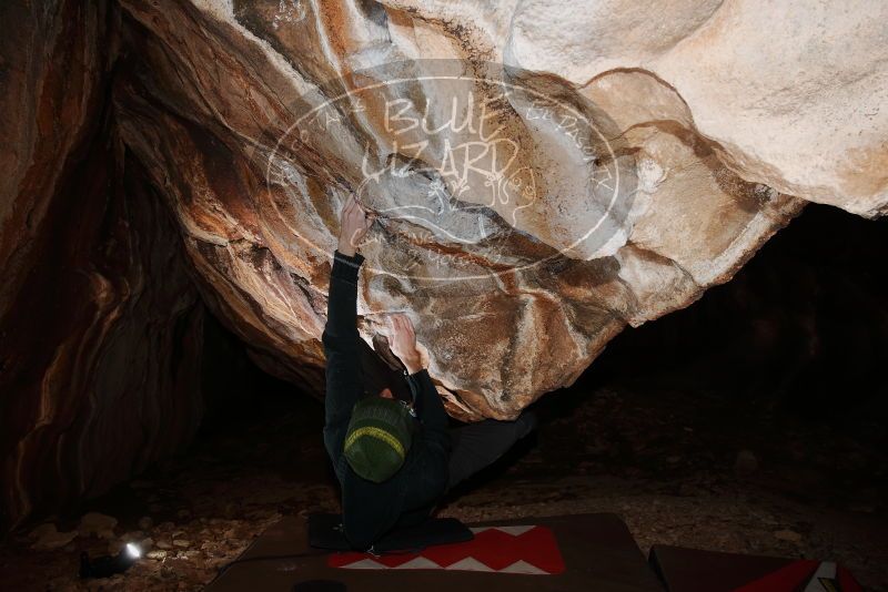 Bouldering in Hueco Tanks on 01/18/2019 with Blue Lizard Climbing and Yoga
Filename: SRM_20190118_1403100.jpg
Aperture: f/8.0
Shutter Speed: 1/250
Body: Canon EOS-1D Mark II
Lens: Canon EF 16-35mm f/2.8 L