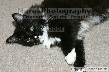 

Filename: img_8931_std.jpg
Aperture: f/6.3
Shutter Speed: 1/100
Body: Canon EOS DIGITAL REBEL
Lens: Canon EF 50mm f/1.8 II