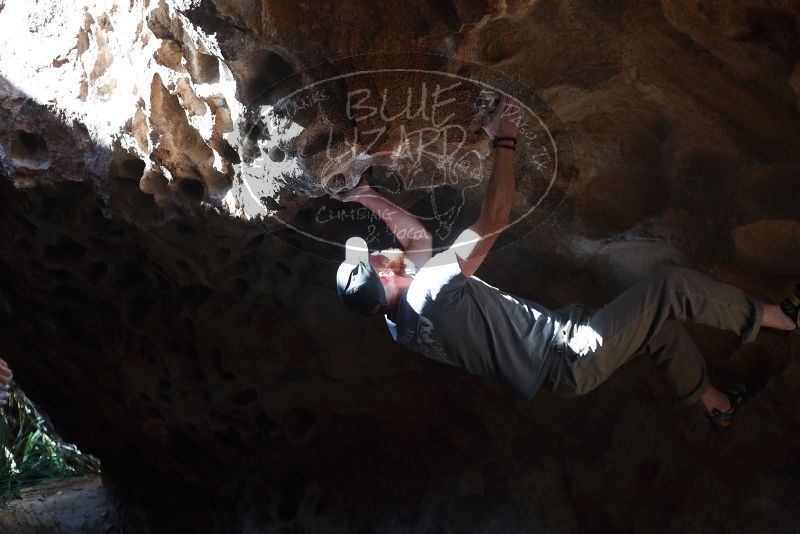 Bouldering in Hueco Tanks on 01/18/2019 with Blue Lizard Climbing and Yoga
Filename: SRM_20190118_1306130.jpg
Aperture: f/2.8
Shutter Speed: 1/400
Body: Canon EOS-1D Mark II
Lens: Canon EF 50mm f/1.8 II