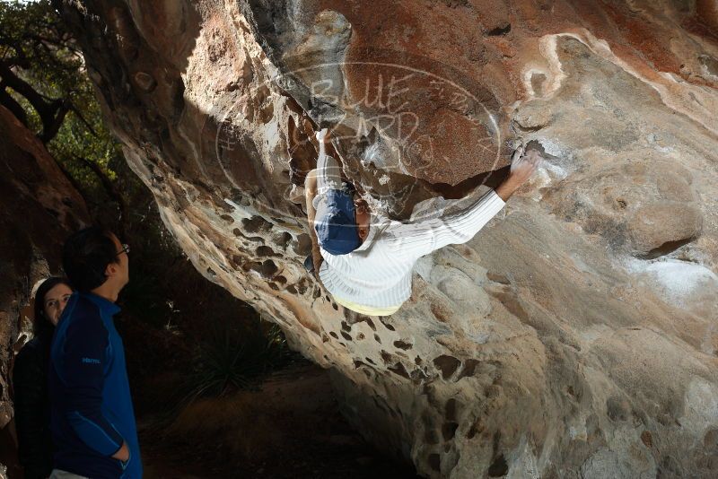 Bouldering in Hueco Tanks on 01/18/2019 with Blue Lizard Climbing and Yoga
Filename: SRM_20190118_1322250.jpg
Aperture: f/5.6
Shutter Speed: 1/200
Body: Canon EOS-1D Mark II
Lens: Canon EF 50mm f/1.8 II