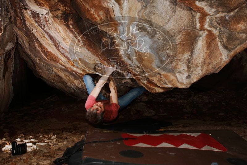 Bouldering in Hueco Tanks on 01/18/2019 with Blue Lizard Climbing and Yoga
Filename: SRM_20190118_1413370.jpg
Aperture: f/8.0
Shutter Speed: 1/250
Body: Canon EOS-1D Mark II
Lens: Canon EF 16-35mm f/2.8 L
