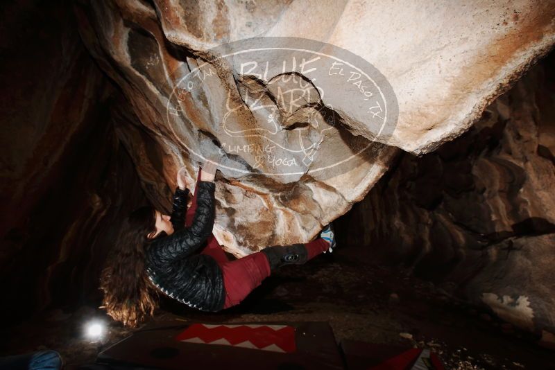 Bouldering in Hueco Tanks on 01/18/2019 with Blue Lizard Climbing and Yoga
Filename: SRM_20190118_1420090.jpg
Aperture: f/8.0
Shutter Speed: 1/250
Body: Canon EOS-1D Mark II
Lens: Canon EF 16-35mm f/2.8 L