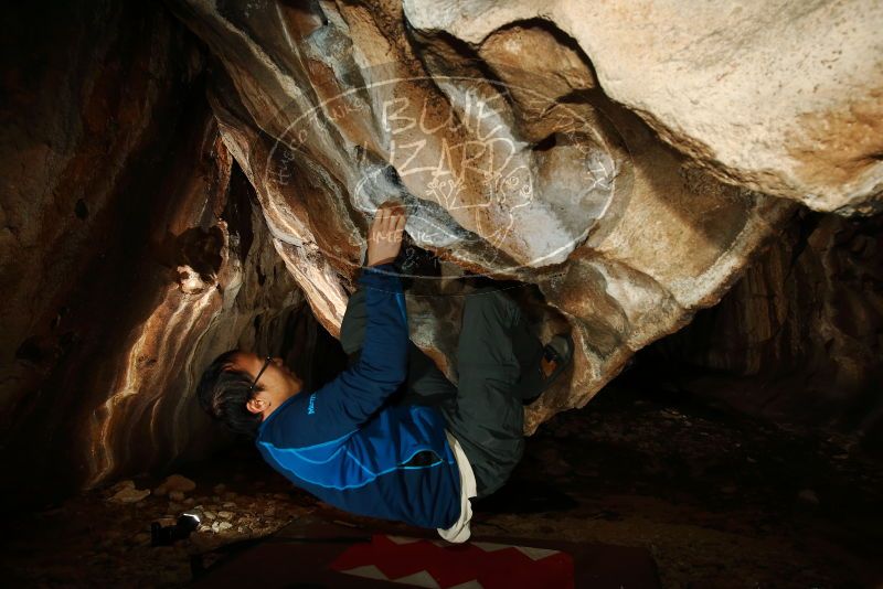 Bouldering in Hueco Tanks on 01/18/2019 with Blue Lizard Climbing and Yoga

Filename: SRM_20190118_1435520.jpg
Aperture: f/8.0
Shutter Speed: 1/250
Body: Canon EOS-1D Mark II
Lens: Canon EF 16-35mm f/2.8 L