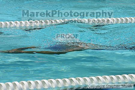 

Filename: img_8713_std.jpg
Aperture: f/10.0
Shutter Speed: 1/1000
Body: Canon EOS DIGITAL REBEL
Lens: Canon EF 80-200mm f/2.8 L