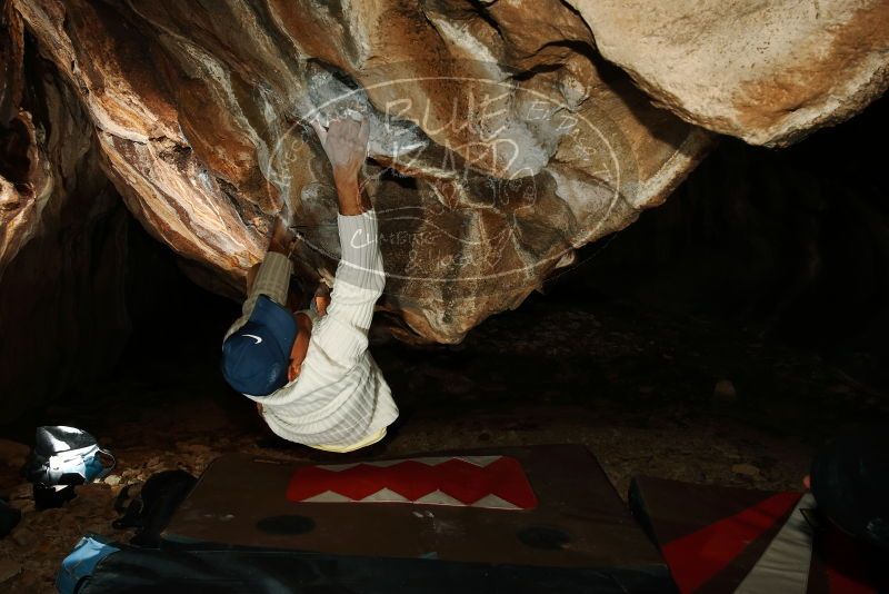 Bouldering in Hueco Tanks on 01/18/2019 with Blue Lizard Climbing and Yoga
Filename: SRM_20190118_1518410.jpg
Aperture: f/8.0
Shutter Speed: 1/250
Body: Canon EOS-1D Mark II
Lens: Canon EF 16-35mm f/2.8 L