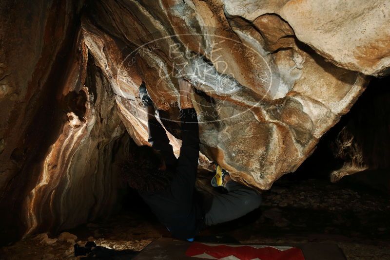 Bouldering in Hueco Tanks on 01/18/2019 with Blue Lizard Climbing and Yoga
Filename: SRM_20190118_1545050.jpg
Aperture: f/8.0
Shutter Speed: 1/250
Body: Canon EOS-1D Mark II
Lens: Canon EF 16-35mm f/2.8 L